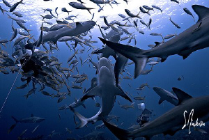 This image was taken while we waited for the arrival of T... by Steven Anderson 